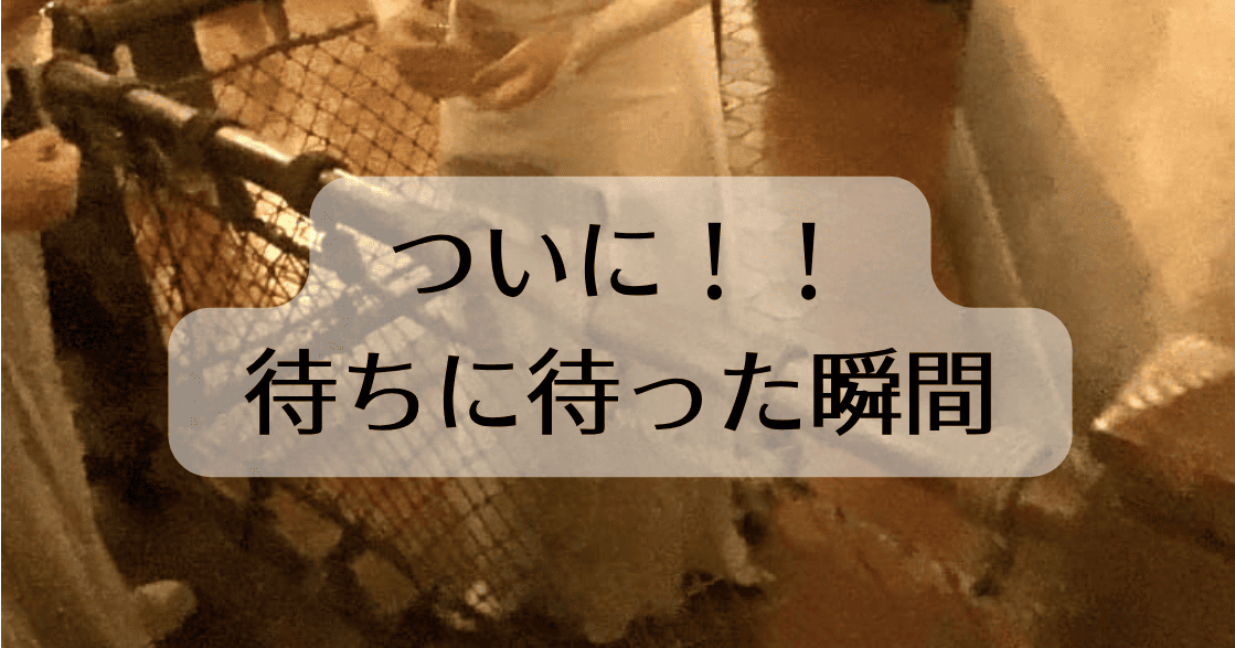ついに!!
待ちに待った瞬間